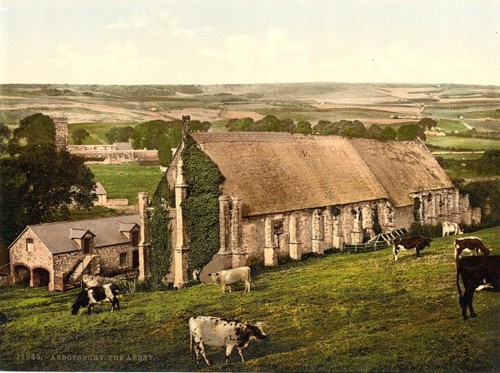 [The Abbey, Abbotsbury, England]