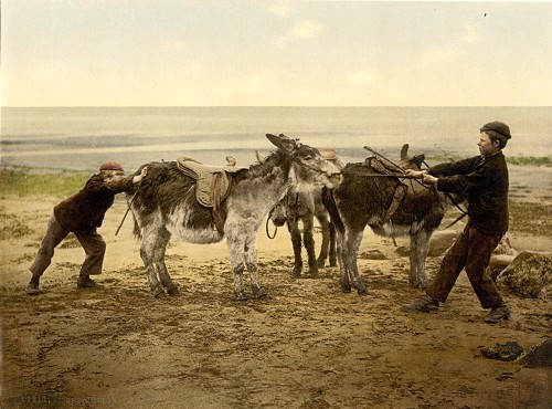 [Opposition, England] (Waiting for a job (donkeys)
